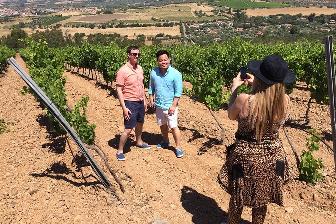Small-Group Food and Wine Tour from Cagliari - The pond, seasonal birds, and changing stops