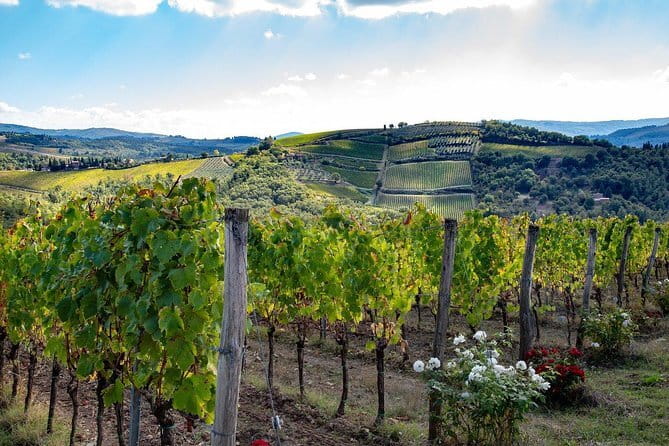 SMALL-GROUP Wine Safaris: Tuscan Wine Tasting Tours from Florence - Key things to know before booking