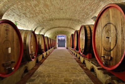 SMALL-GROUP Wine Safaris: Tuscan Wine Tasting Tours from Florence