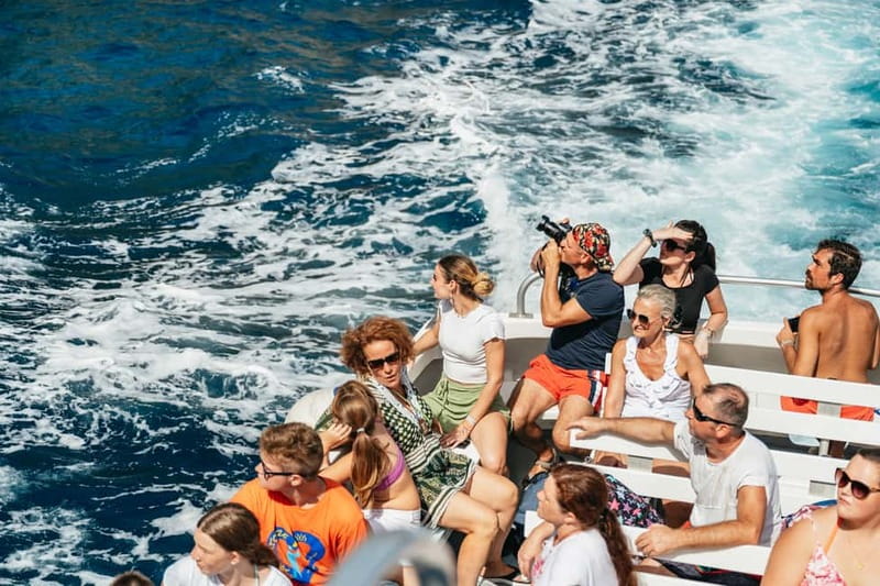 Sorrento: Coast and Capri Boat Trip with Limoncello Tasting - What the $81 price really covers