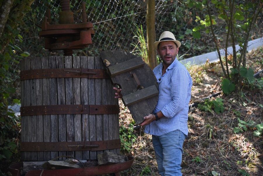 Sorrento: Farm Tour with Cheese Tasting & Pizza Making Class - Who gets the best value?