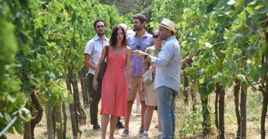 Sorrento: Farm Tour with Cheese Tasting & Pizza Making Class - The ride from Sorrento to Primaluce