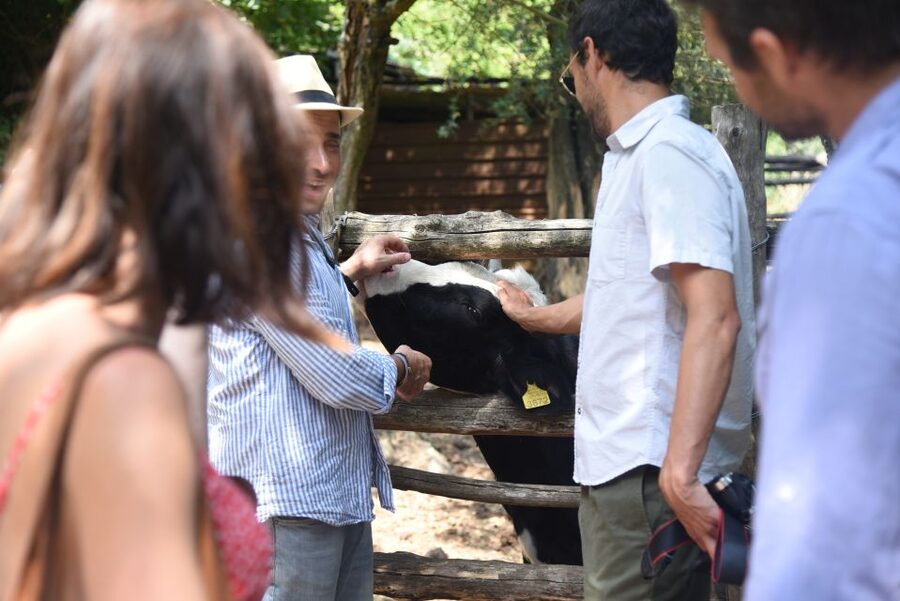 Sorrento: Farm Tour with Cheese Tasting & Pizza Making Class - Making pizza with the family