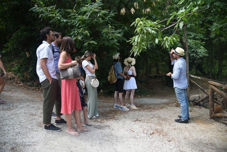 Sorrento: Farm Tour with Cheese Tasting & Pizza Making Class - The farm lunch is more than pizza