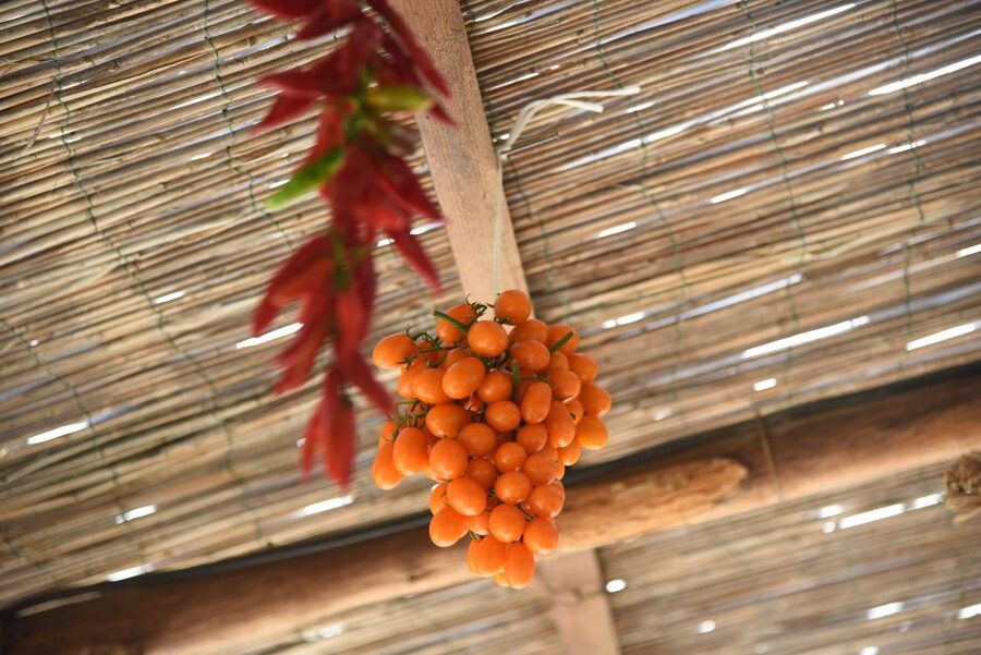 Sorrento: Pizza Lesson, Wine, and Limoncello at a Local Farm - More than pizza on the farmhouse table