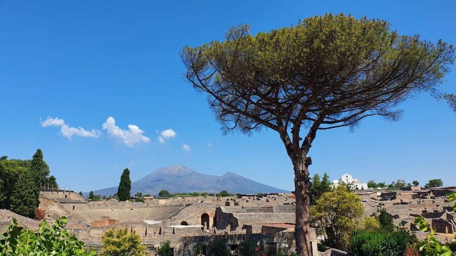Sorrento: Skip-the-Line Pompeii Express Tour by Train - Who Will Get the Most From This Pompeii Visit