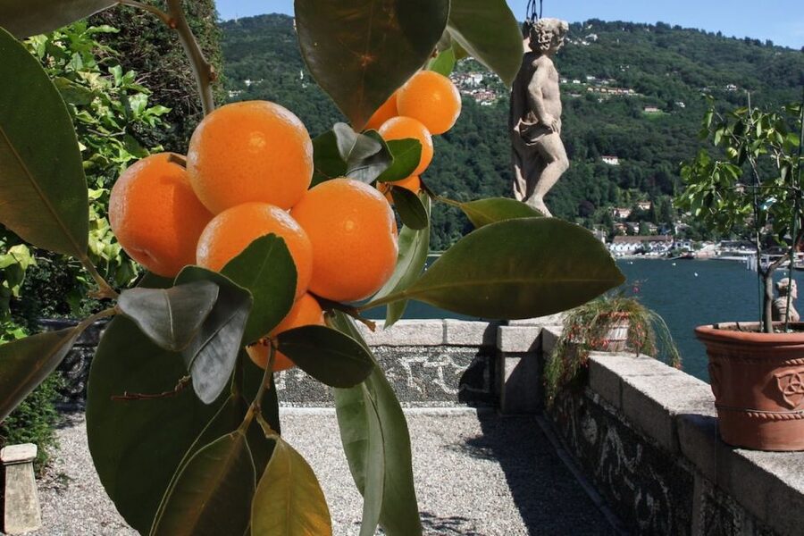 Stresa: Isola Bella Hop-on Hop-off Boat Tour - How much value do you get for $9?