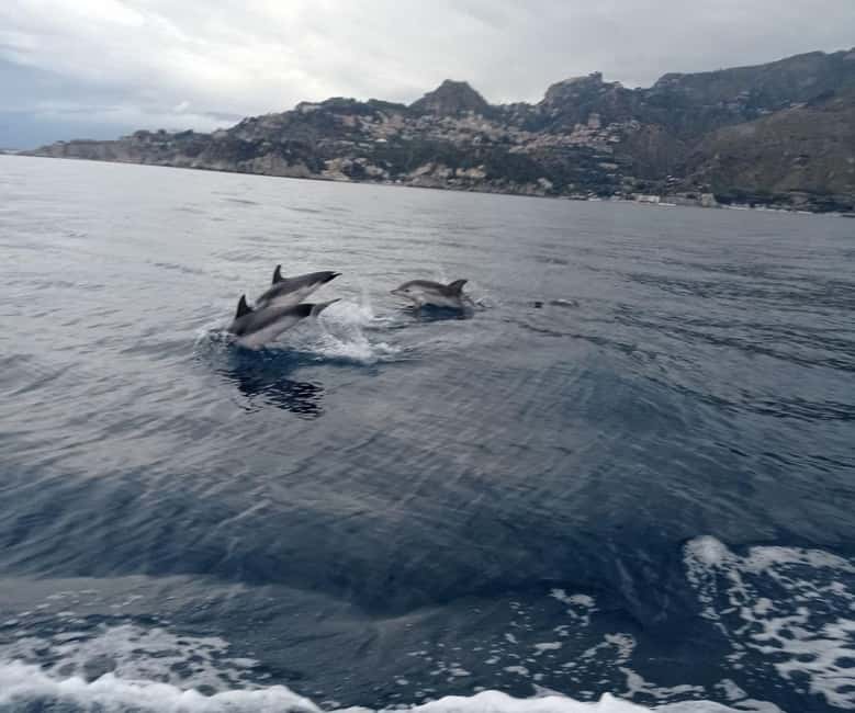 Sunset tour in search of dolphins with aperitif - Who will enjoy this boat trip most