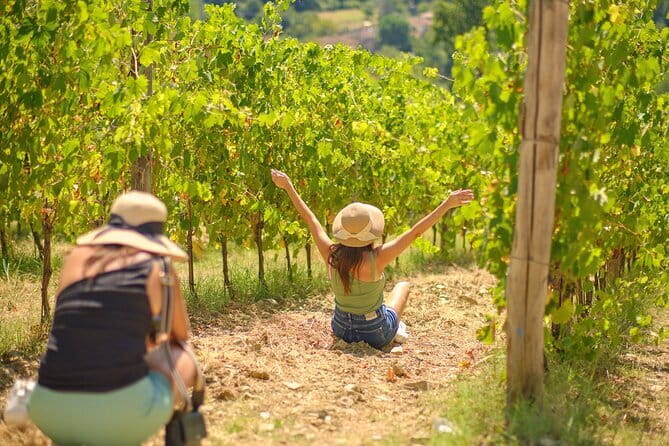 Super Chianti 2 wineries & meat feast @ Dario Cecchini—max 8 pp - Who will enjoy this Chianti day most?