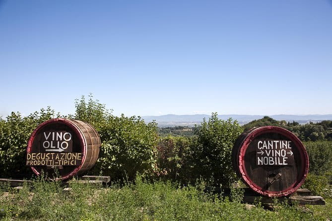 Super Chianti 2 wineries & meat feast @ Dario Cecchini—max 8 pp - Practical details that affect the day