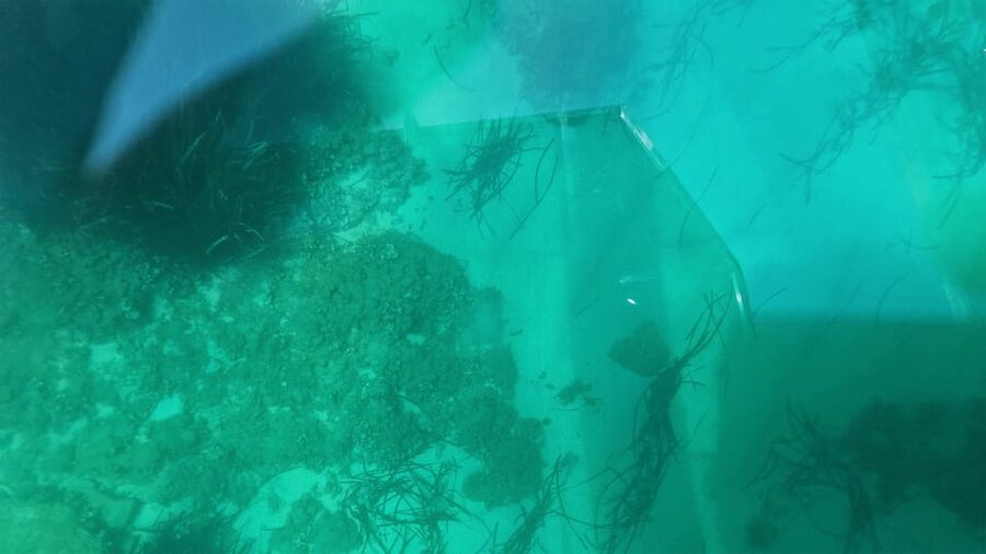 Syracuse: Coast and Sea Caves Full Transparent Boat Tour - Is $47 a fair price for 50 minutes?