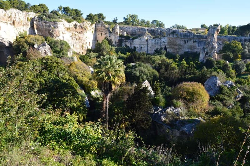 Syracuse: Ortigia and Neapolis Guided Walking Tour - Timing, transfers, and the extra costs