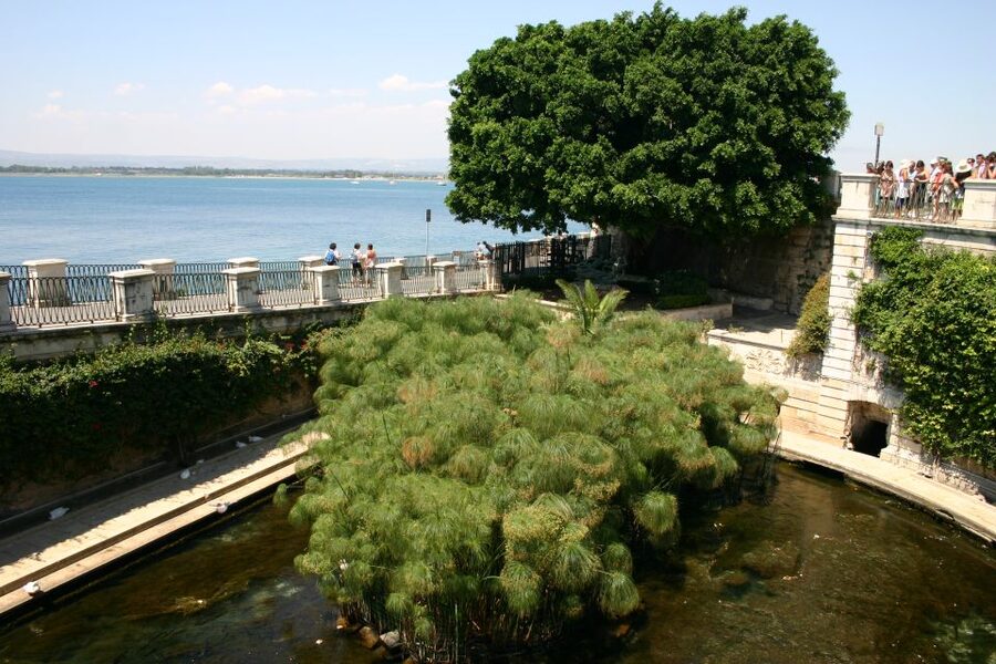 Syracuse: Ortigia Private Walking Tour - The Jewish Quarter and Via Maestranza