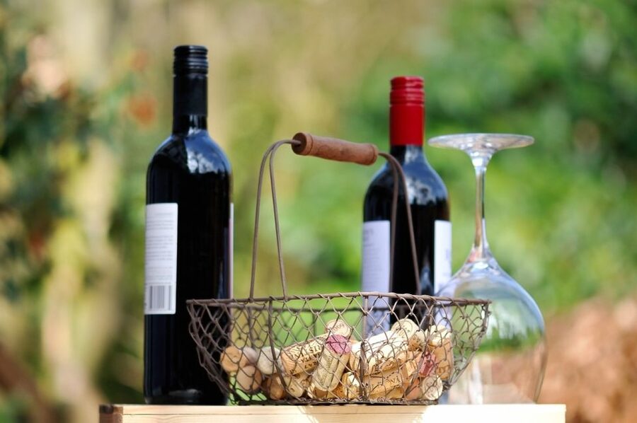 Taormina: Guided Etna Wine Tasting Half-Day Tour - Who should book this Etna wine tour?