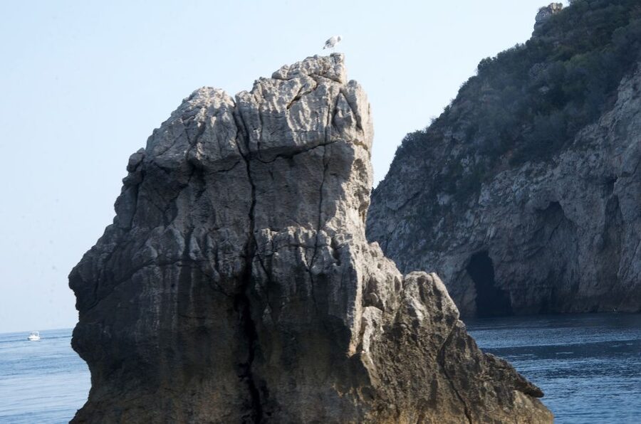 Taormina: White Lotus Tour - The opening cruise along Taormina’s coast