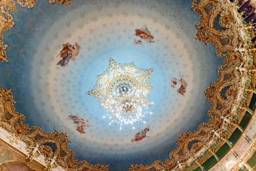 The Majestic Teatro La Fenice: Guided Tour in Venice - Who should book this La Fenice visit?