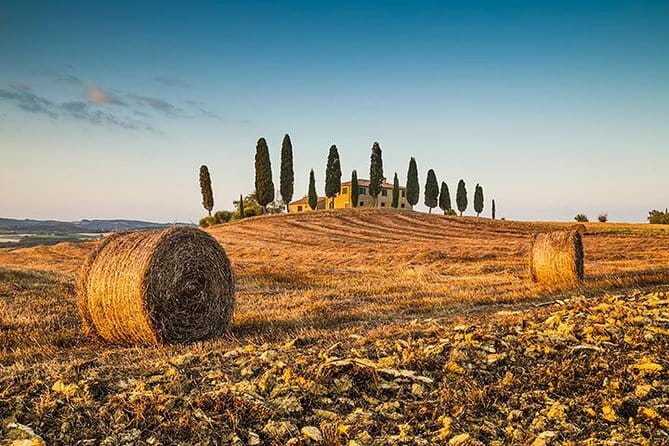 Tipsy Tour: Guided Bar Crawl In Florence with Dark History - Who will get the most from this tour