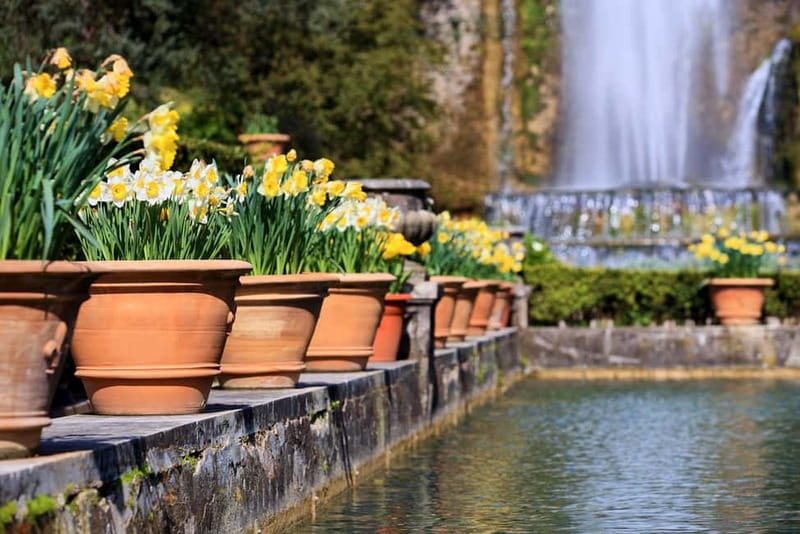 Tivoli: Villa D'Este Entry Ticket and App Audio Guide - Using the smartphone audio guide
