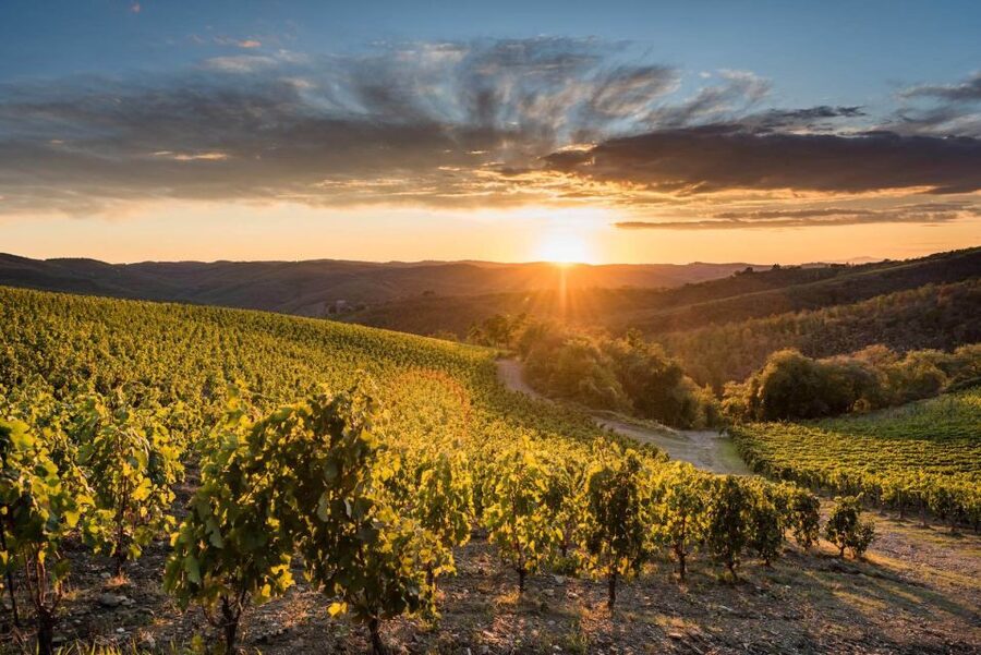 Total Immersion Wine Tour in Chianti - Key points at a glance