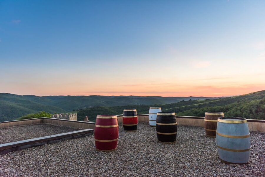 Total Immersion Wine Tour in Chianti - Who should book this Chianti tour?
