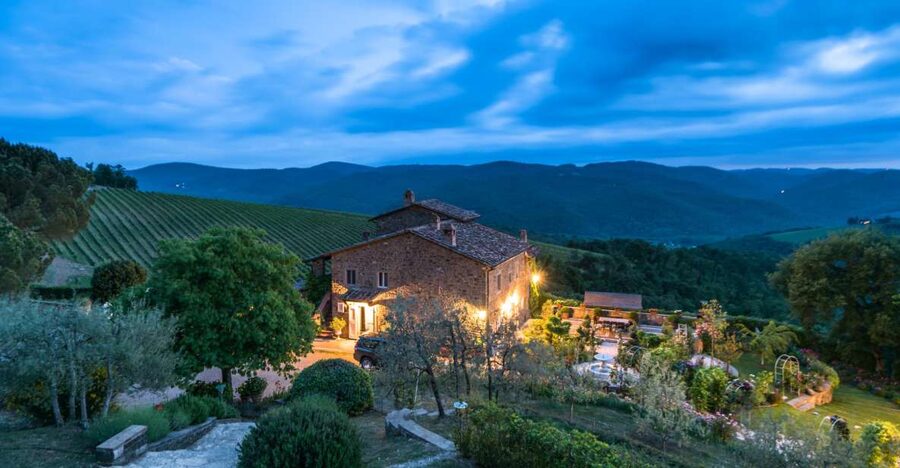 Total Immersion Wine Tour in Chianti - Walking through the organic vineyard