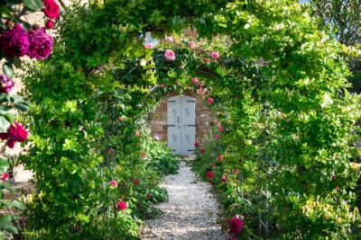 Total Immersion Wine Tour in Chianti