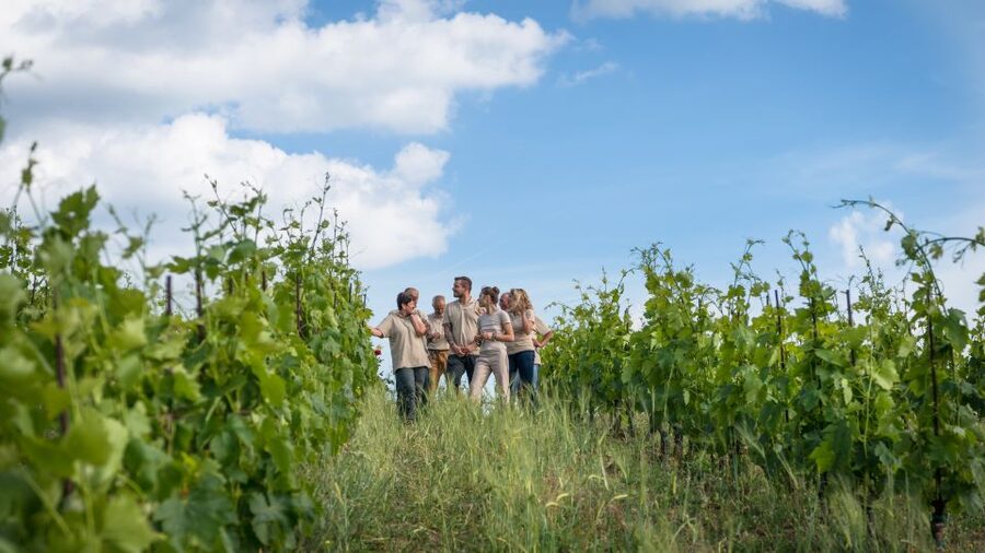 Total Immersion Wine Tour in Chianti - The tasting room: five estate products and more