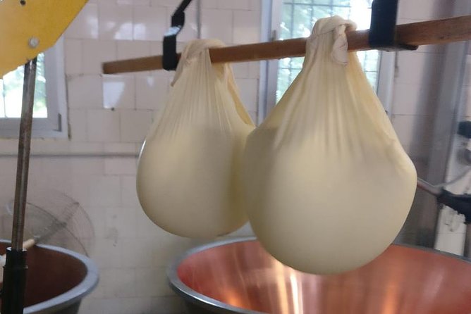 Tour Parmigiano Reggiano dairy and Parma ham - From cheese wheels to Langhirano ham