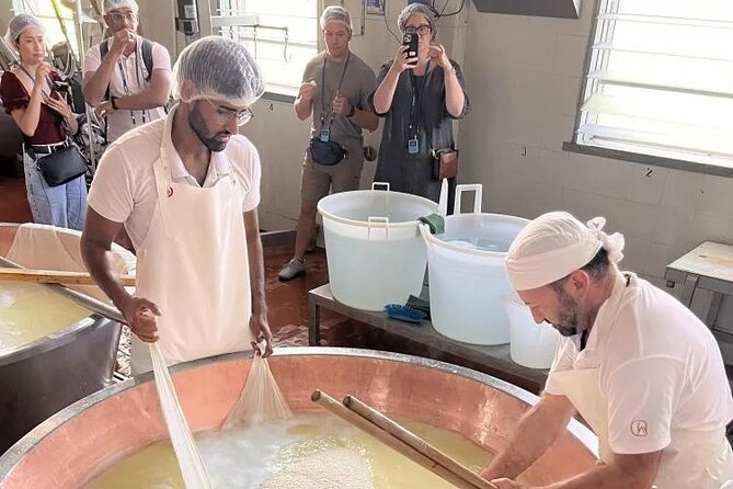 Tour Parmigiano Reggiano dairy and Parma ham - Tastings that teach you what to buy