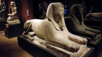 Guided Egyptian Museum Tour