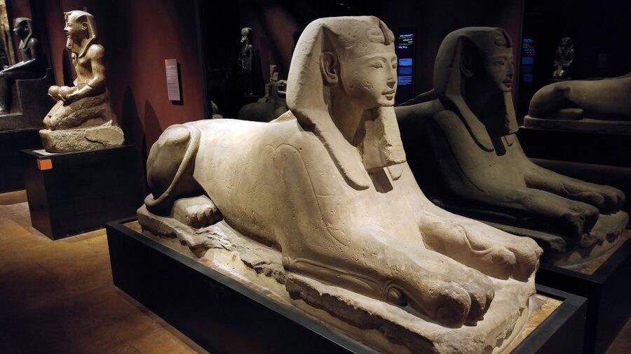 Turin: Guided Egyptian Museum Tour - Meeting your guide at Via Accademia delle Scienze 6