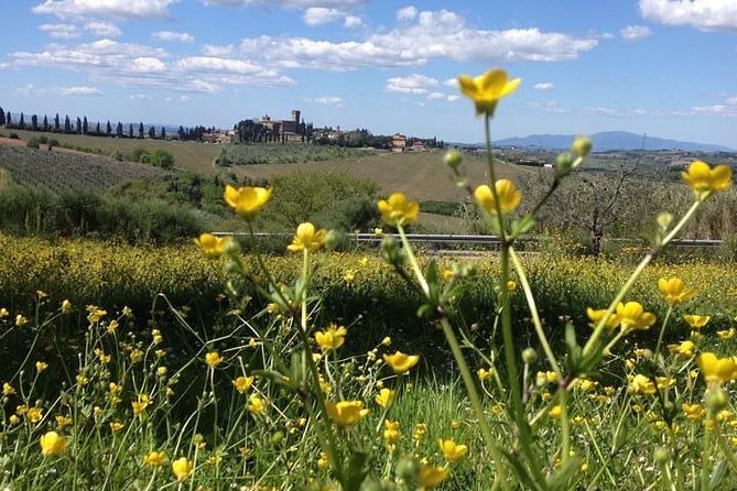 Tuscany Bike Tours Through the Chianti Hills with Wine Tasting - Why the support van makes a real difference
