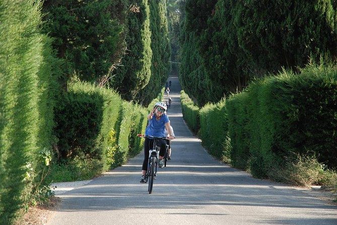 Tuscany Bike Tours Through the Chianti Hills with Wine Tasting - Rolling through vineyards, olive groves, and villa roads