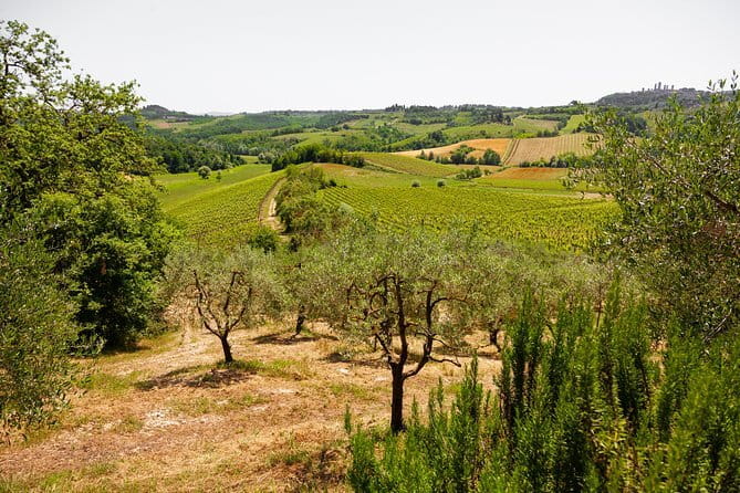 Tuscany Day Trip from Florence: Siena, San Gimignano, Pisa and Lunch at a Winery - Siena, from Monte dei Paschi to the Palio
