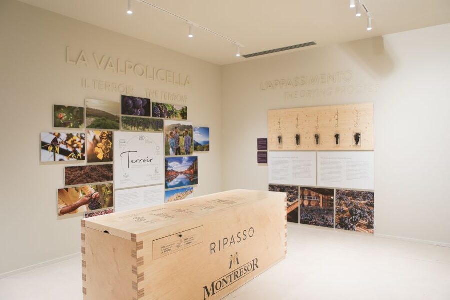 Verona: Montresor Winery Visit with Wine Tasting and Snacks - Key points to know before you go