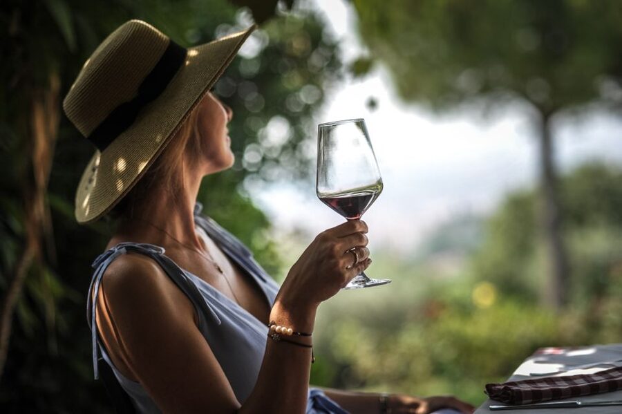 Verona: Wine Tasting with Snacks and Panoramic Views - Who should book this experience