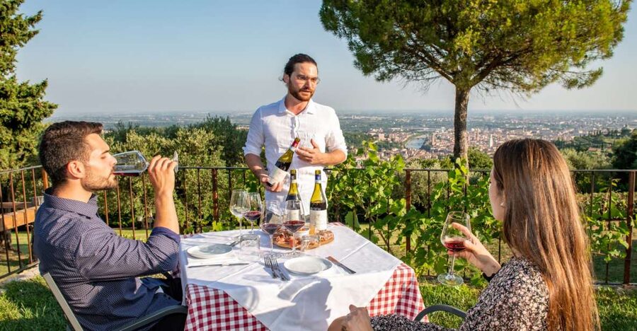 Verona: Wine Tasting with Snacks and Panoramic Views - Why this small winery works so well near Verona