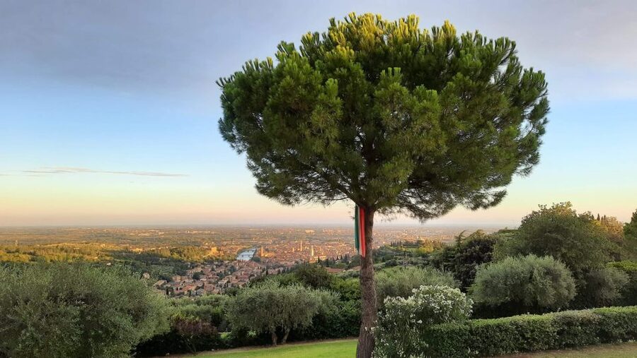 Verona: Wine Tasting with Snacks and Panoramic Views - The terrace view is the main event