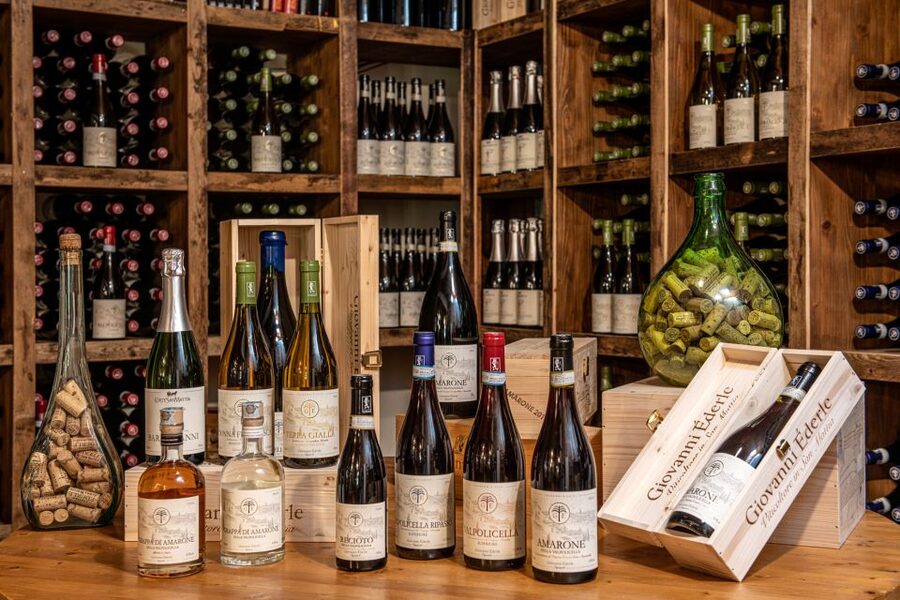 Verona: Wine Tasting with Snacks and Panoramic Views - The guides make the difference