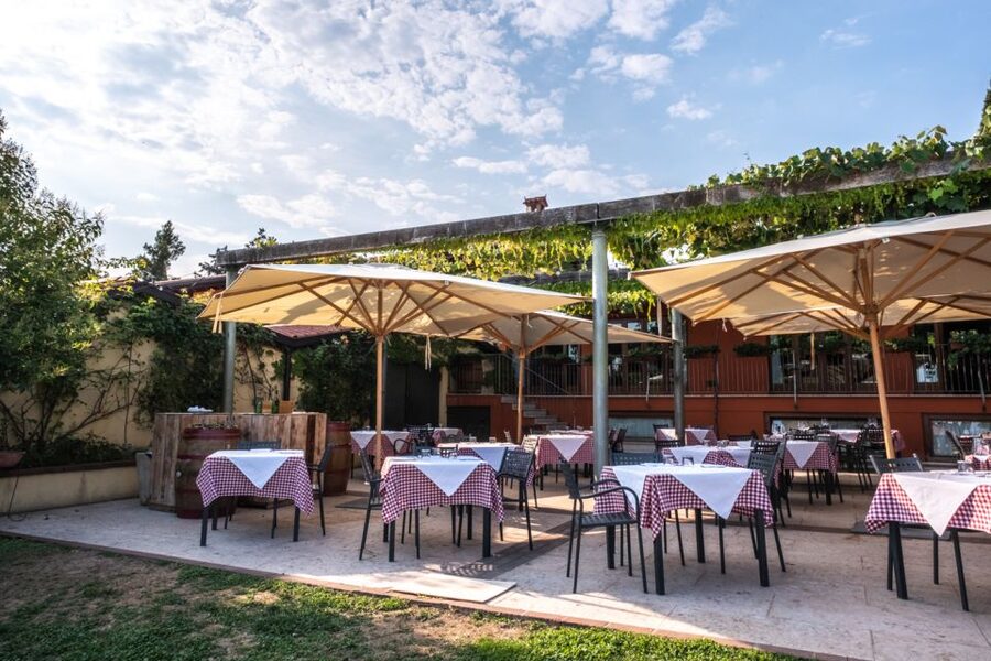 Verona: Wine Tasting with Snacks and Panoramic Views - Walking through the vineyards and winery