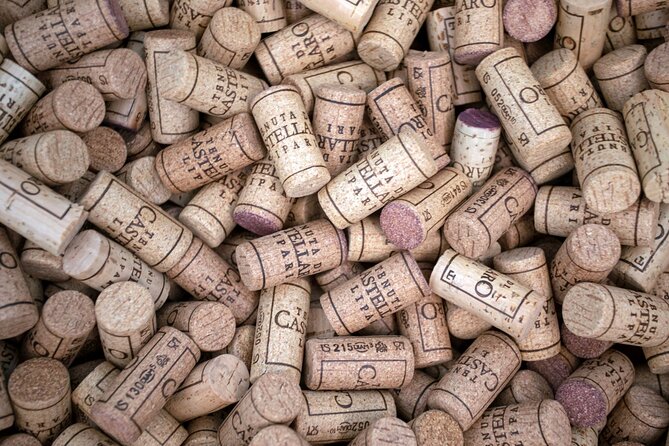 Wine tasting THE CLASSICS - Who Will Enjoy This Most?