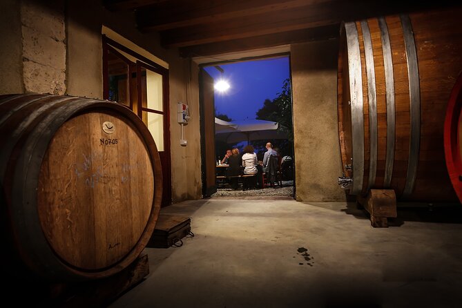 Wine Tasting with Panoramic View of Verona - The vineyard and winery visit